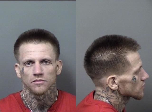 Michael Sherman arrested April 30 on a felony charge of possession of a controlled substance and a misdemeanor charge of possession of cannabis.